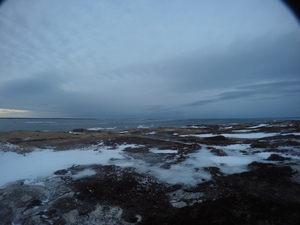 Photograph of Pinchard's Island, Newfoundland — February 1, 2018 at 1:59 PM