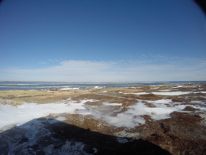 Photograph of Pinchard's Island, Newfoundland — February 2, 2018 at 7:59 AM