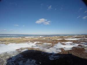 Photograph of Pinchard's Island, Newfoundland — February 2, 2018 at 8:59 AM