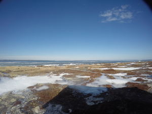 Photograph of Pinchard's Island, Newfoundland — February 2, 2018 at 9:59 AM