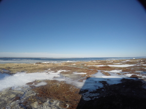 Photograph of Pinchard's Island, Newfoundland — February 2, 2018 at 10:59 AM