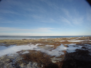Photograph of Pinchard's Island, Newfoundland — February 2, 2018 at 11:59 AM
