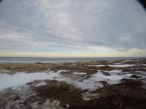 Photograph of Pinchard's Island, Newfoundland — February 2, 2018 at 12:59 PM