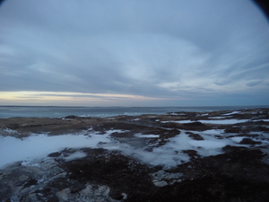 Photograph of Pinchard's Island, Newfoundland — February 2, 2018 at 1:59 PM