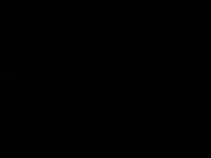 Photograph of Pinchard's Island, Newfoundland — February 2, 2018 at 2:59 PM