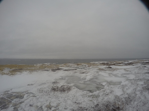 Photograph of Pinchard's Island, Newfoundland — February 3, 2018 at 7:59 AM