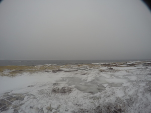 Photograph of Pinchard's Island, Newfoundland — February 3, 2018 at 8:59 AM