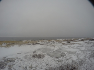 Photograph of Pinchard's Island, Newfoundland — February 3, 2018 at 9:59 AM