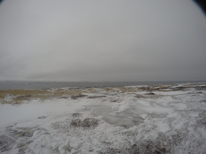 Photograph of Pinchard's Island, Newfoundland — February 3, 2018 at 10:59 AM