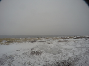 Photograph of Pinchard's Island, Newfoundland — February 3, 2018 at 11:59 AM