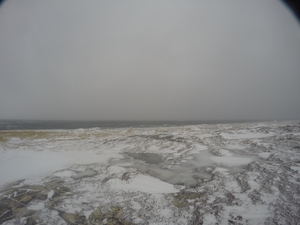 Photograph of Pinchard's Island, Newfoundland — February 4, 2018 at 7:59 AM