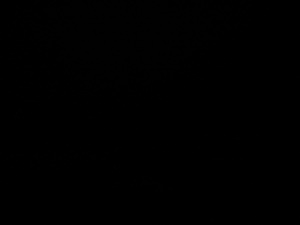 Photograph of Pinchard's Island, Newfoundland — February 4, 2018 at 2:59 PM