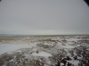 Photograph of Pinchard's Island, Newfoundland — February 5, 2018 at 10:59 AM