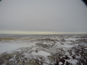 Photograph of Pinchard's Island, Newfoundland — February 5, 2018 at 11:59 AM
