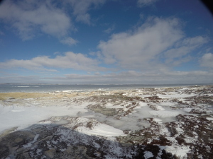 Photograph of Pinchard's Island, Newfoundland — February 6, 2018 at 7:59 AM