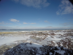 Photograph of Pinchard's Island, Newfoundland — February 6, 2018 at 8:59 AM