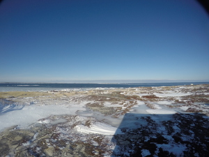 Photograph of Pinchard's Island, Newfoundland — February 6, 2018 at 10:59 AM