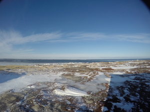 Photograph of Pinchard's Island, Newfoundland — February 6, 2018 at 11:59 AM