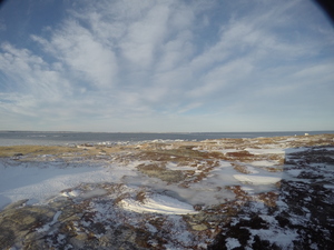Photograph of Pinchard's Island, Newfoundland — February 6, 2018 at 12:59 PM