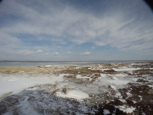 Photograph of Pinchard's Island, Newfoundland — February 7, 2018 at 7:59 AM