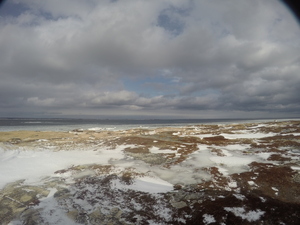 Photograph of Pinchard's Island, Newfoundland — February 7, 2018 at 8:59 AM