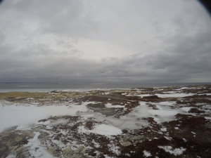 Photograph of Pinchard's Island, Newfoundland — February 7, 2018 at 9:59 AM