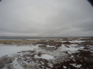 Photograph of Pinchard's Island, Newfoundland — February 7, 2018 at 10:59 AM