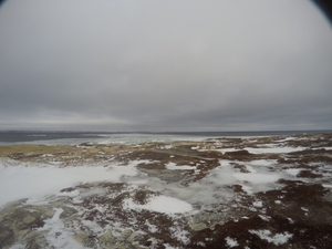 Photograph of Pinchard's Island, Newfoundland — February 7, 2018 at 11:59 AM