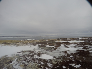 Photograph of Pinchard's Island, Newfoundland — February 8, 2018 at 7:59 AM