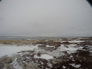 Photograph of Pinchard's Island, Newfoundland — February 8, 2018 at 8:59 AM
