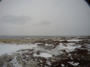 Photograph of Pinchard's Island, Newfoundland — February 8, 2018 at 9:59 AM