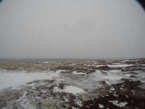 Photograph of Pinchard's Island, Newfoundland — February 8, 2018 at 10:59 AM