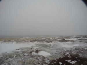 Photograph of Pinchard's Island, Newfoundland — February 8, 2018 at 11:59 AM