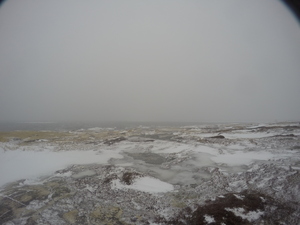 Photograph of Pinchard's Island, Newfoundland — February 8, 2018 at 12:59 PM