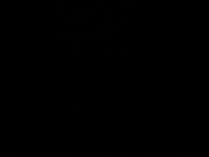 Photograph of Pinchard's Island, Newfoundland — February 8, 2018 at 2:59 PM