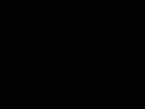 Photograph of Pinchard's Island, Newfoundland — February 9, 2018 at 4:59 PM