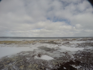 Photograph of Pinchard's Island, Newfoundland — February 10, 2018 at 7:58 AM