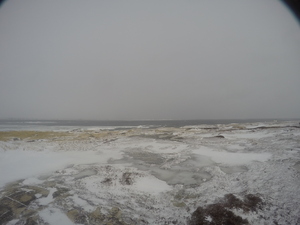 Photograph of Pinchard's Island, Newfoundland — February 11, 2018 at 7:58 AM