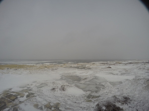 Photograph of Pinchard's Island, Newfoundland — February 11, 2018 at 8:58 AM
