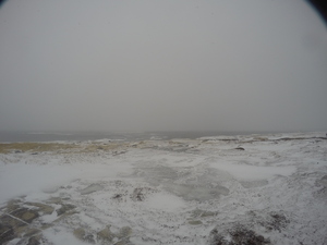 Photograph of Pinchard's Island, Newfoundland — February 11, 2018 at 9:58 AM