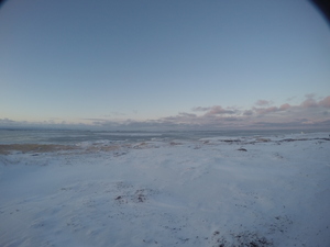 Photograph of Pinchard's Island, Newfoundland — February 11, 2018 at 1:58 PM