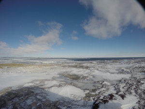 Photograph of Pinchard's Island, Newfoundland — February 12, 2018 at 7:58 AM