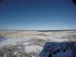 Photograph of Pinchard's Island, Newfoundland — February 12, 2018 at 10:58 AM