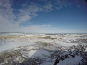 Photograph of Pinchard's Island, Newfoundland — February 26, 2018 at 1:28 PM