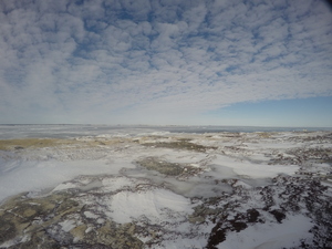 Photograph of Pinchard's Island, Newfoundland — February 26, 2018 at 2:28 PM