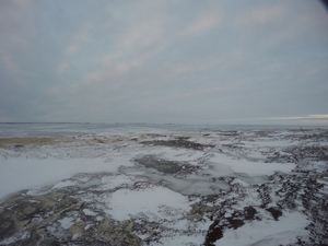 Photograph of Pinchard's Island, Newfoundland — February 26, 2018 at 5:28 PM