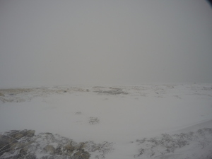 Photograph of Pinchard's Island, Newfoundland — February 27, 2018 at 11:28 AM