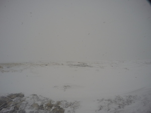 Photograph of Pinchard's Island, Newfoundland — February 27, 2018 at 12:28 PM