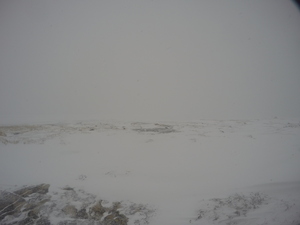 Photograph of Pinchard's Island, Newfoundland — February 27, 2018 at 1:28 PM