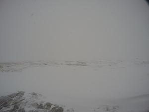 Photograph of Pinchard's Island, Newfoundland — February 27, 2018 at 3:28 PM